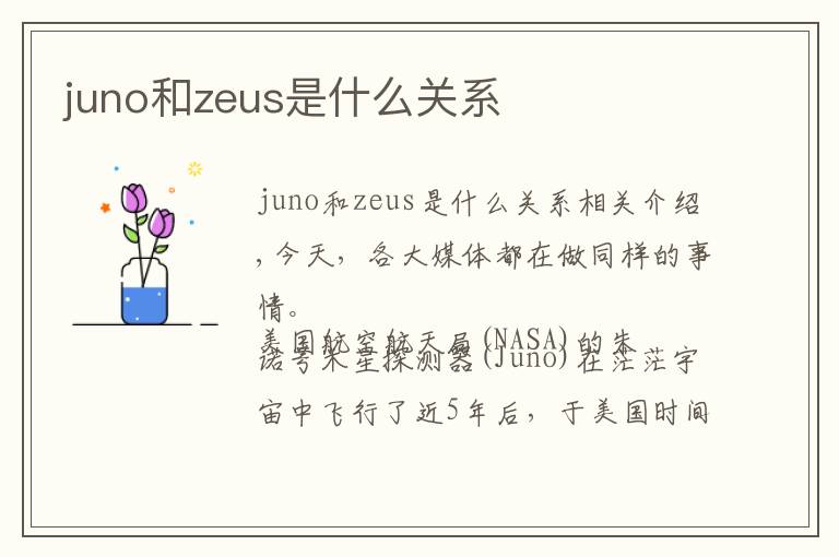 juno和zeus是什么关系