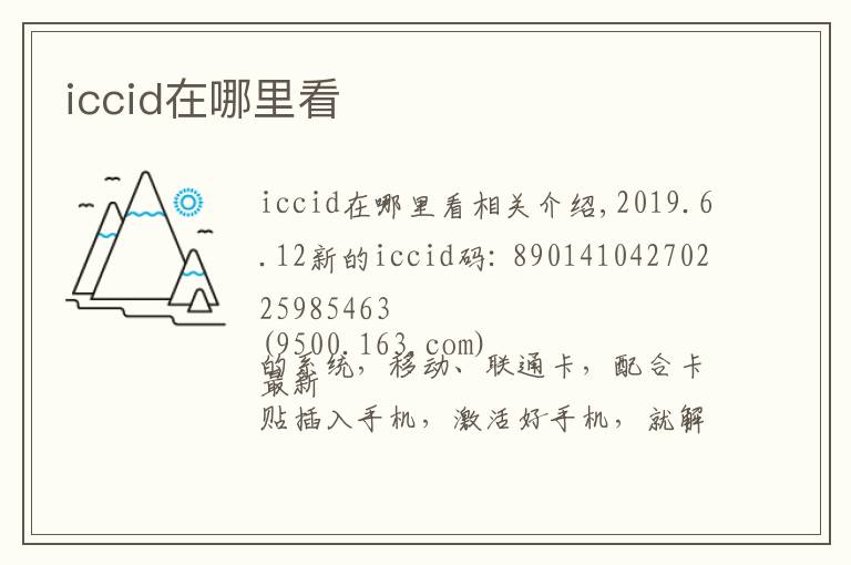 iccid在哪里看