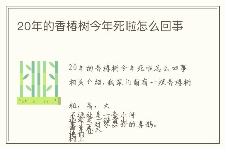 20年的香椿树今年死啦怎么回事