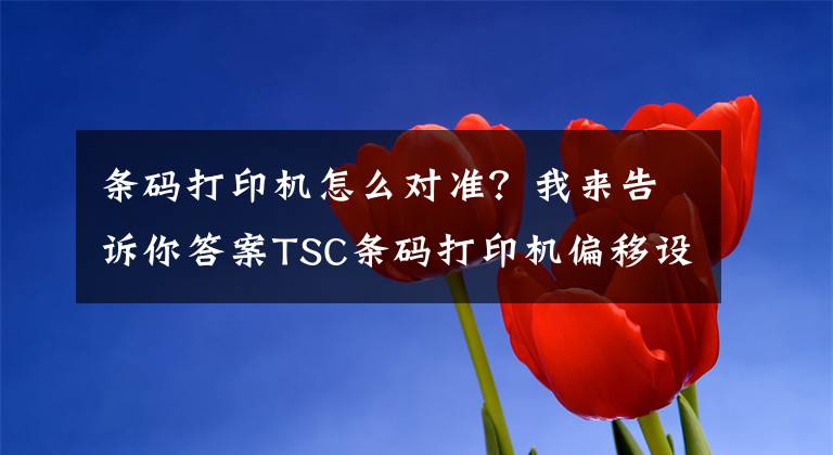 条码打印机怎么对准？我来告诉你答案TSC条码打印机偏移设置怎么办？