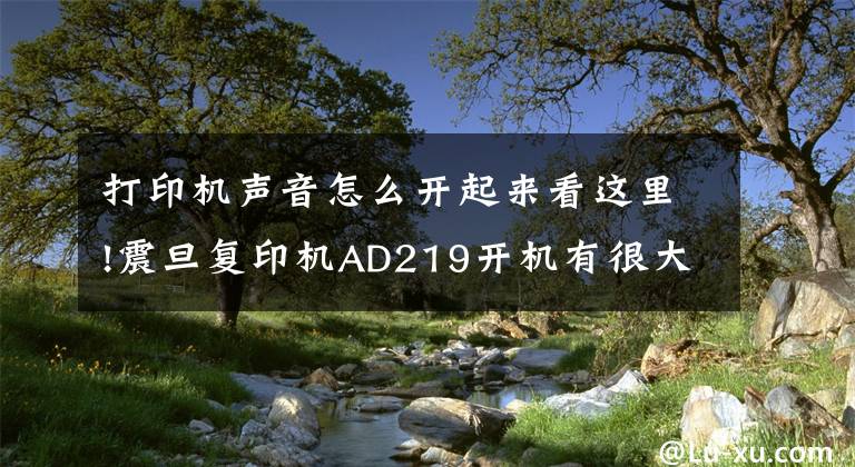 打印机声音怎么开起来看这里!震旦复印机AD219开机有很大的响声怎么解决？