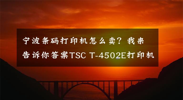 宁波条码打印机怎么卖？我来告诉你答案TSC T-4502E打印机-制造业桌面条码打印机