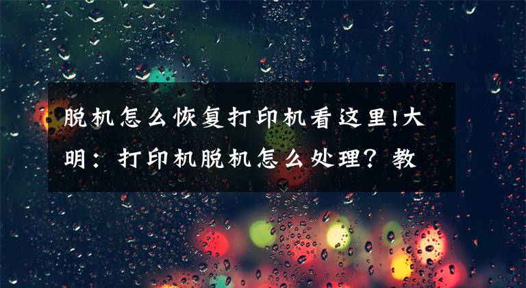 脱机怎么恢复打印机看这里!大明：打印机脱机怎么处理？教你方法，轻松解决