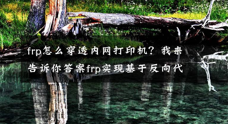 frp怎么穿透内网打印机？我来告诉你答案frp实现基于反向代理的内网穿透