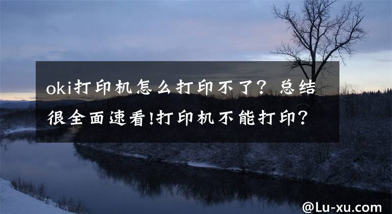 oki打印机怎么打印不了？总结很全面速看!打印机不能打印？别急，答案在这