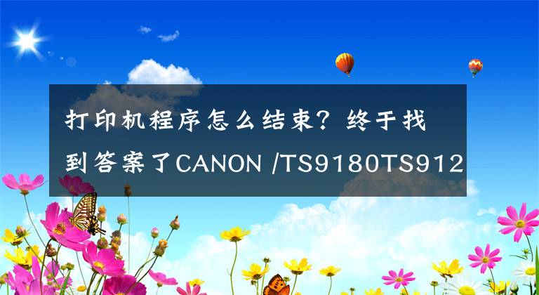 打印机程序怎么结束？终于找到答案了CANON /TS9180TS9120/TS8080/TS8180清零使用教程文章配图