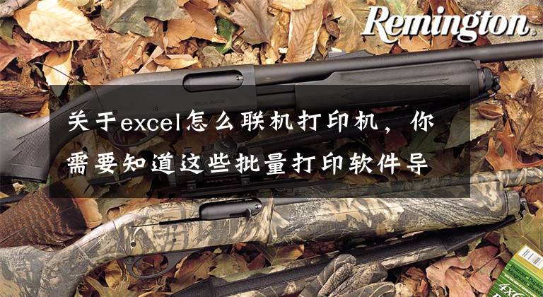 关于excel怎么联机打印机，你需要知道这些批量打印软件导入Excel时如何保留两位小数