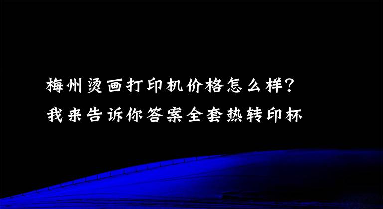 梅州烫画打印机价格怎么样？我来告诉你答案全套热转印杯子衣服印照片机器