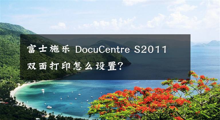 富士施乐 DocuCentre S2011 双面打印怎么设置？