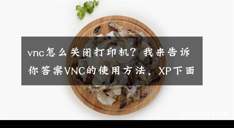 vnc怎么关闭打印机？我来告诉你答案VNC的使用方法，XP下面VNC怎么使用