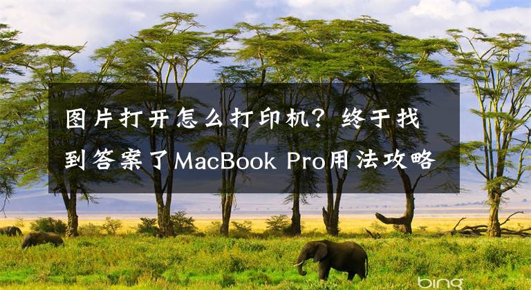 图片打开怎么打印机？终于找到答案了MacBook Pro用法攻略：如何在MacBook上打印图片？