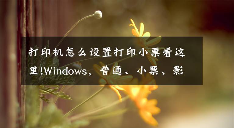 打印机怎么设置打印小票看这里!Windows，普通、小票、影院票务专用打印机的纸张规格设置