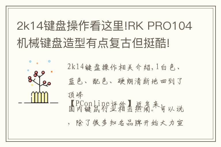 2k14键盘操作看这里!RK PRO104机械键盘造型有点复古但挺酷!