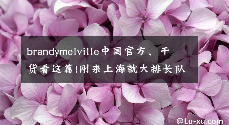 brandymelville中国官方，干货看这篇!刚来上海就大排长队，只出S码的Brandy Melville到底什么来头？