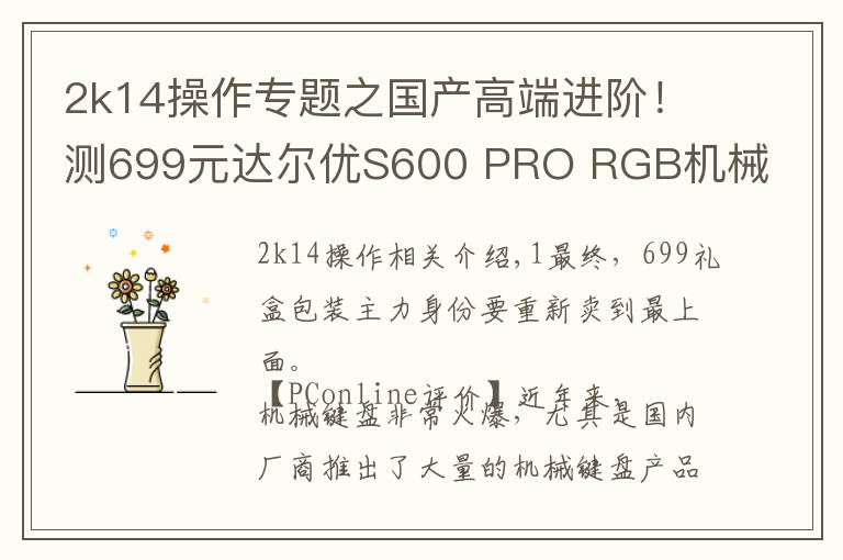 2k14操作专题之国产高端进阶！测699元达尔优S600 PRO RGB机械键盘
