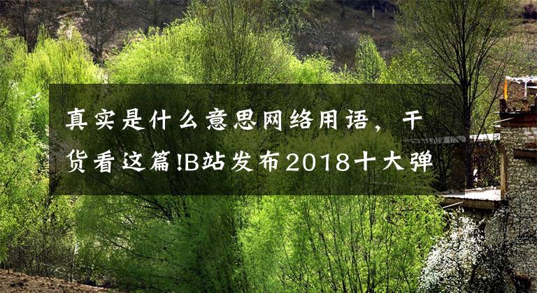 真实是什么意思网络用语，干货看这篇!B站发布2018十大弹幕词，你都发过吗？