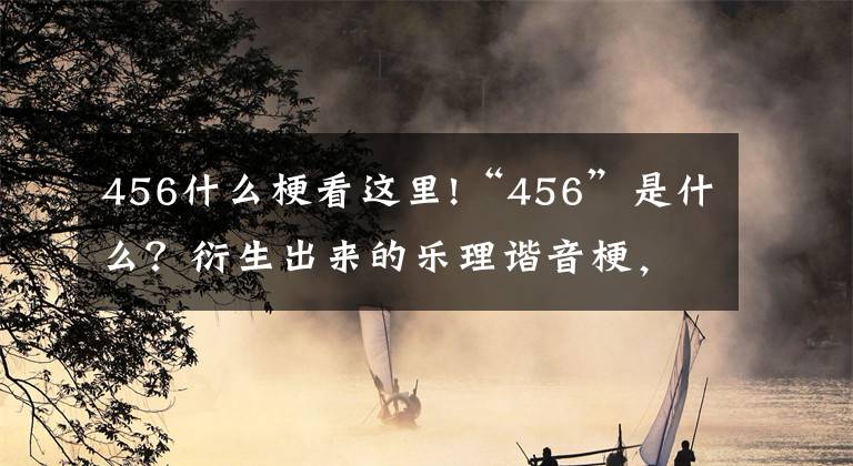 456什么梗看这里!“456”是什么？衍生出来的乐理谐音梗，看一遍都反应不过来是啥