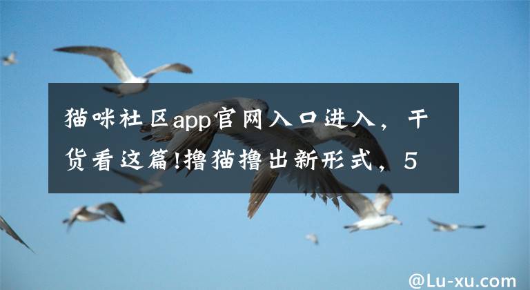 猫咪社区app官网入口进入，干货看这篇!撸猫撸出新形式，500 亿的猫咪市场谁来瓜分