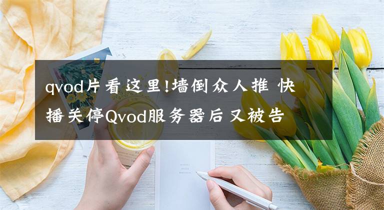 qvod片看这里!墙倒众人推 快播关停Qvod服务器后又被告