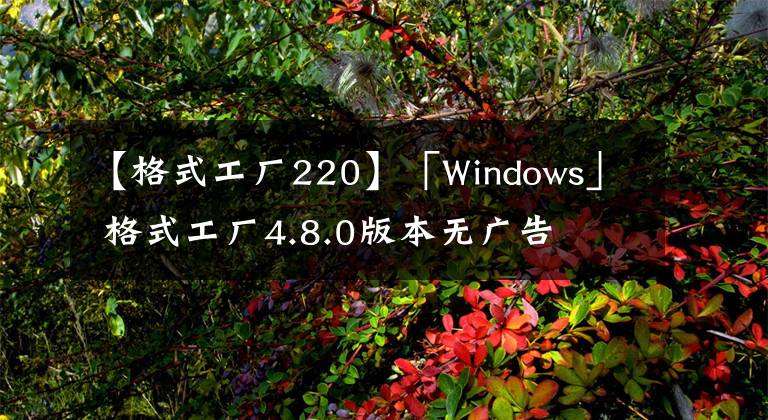 【格式工厂220】「Windows」 格式工厂4.8.0版本无广告