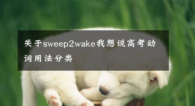 关于sweep2wake我想说高考动词用法分类