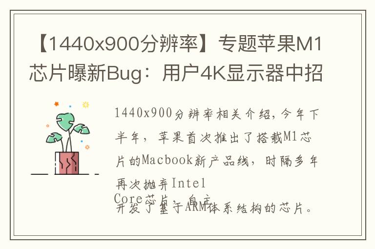 【1440x900分辨率】专题苹果M1芯片曝新Bug：用户4K显示器中招，系统兼容性有问题