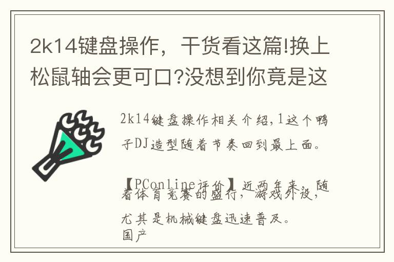 2k14键盘操作，干货看这篇!换上松鼠轴会更可口?没想到你竟是这样的机械键盘