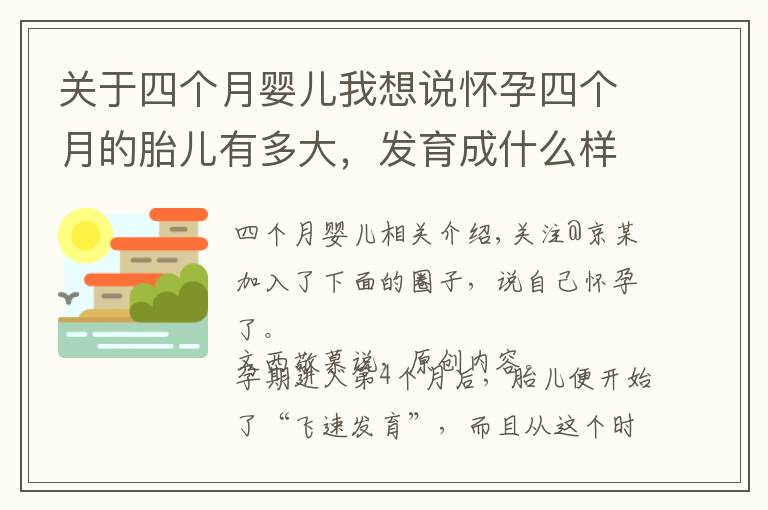 关于四个月婴儿我想说怀孕四个月的胎儿有多大，发育成什么样儿了？很可爱，孕妈们收藏