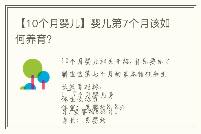 【10个月婴儿】婴儿第7个月该如何养育？