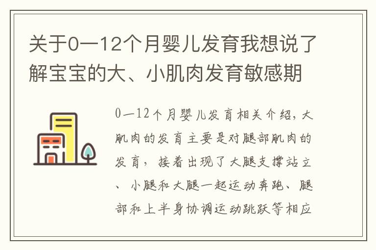 关于0一12个月婴儿发育我想说了解宝宝的大、小肌肉发育敏感期