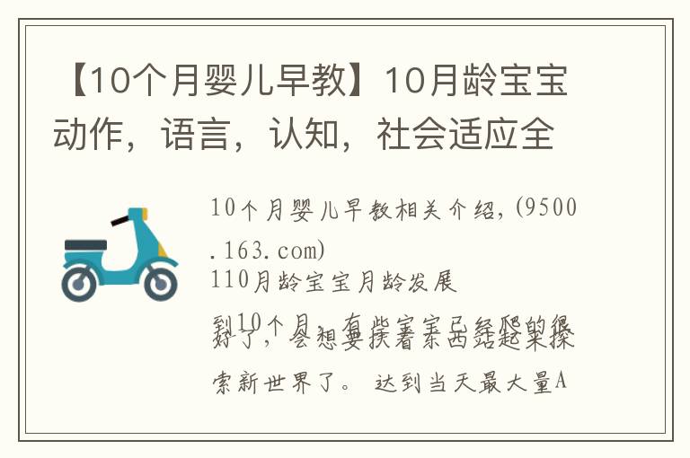 【10个月婴儿早教】10月龄宝宝动作，语言，认知，社会适应全面测评