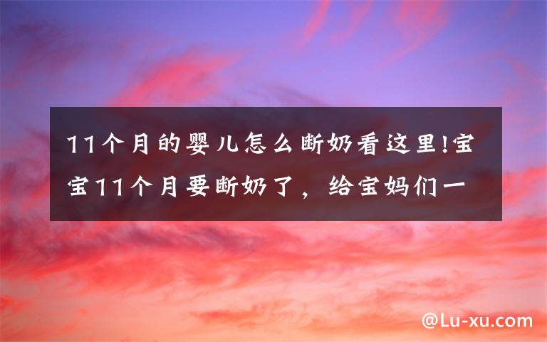 11个月的婴儿怎么断奶看这里!宝宝11个月要断奶了，给宝妈们一道“断奶秘技”、