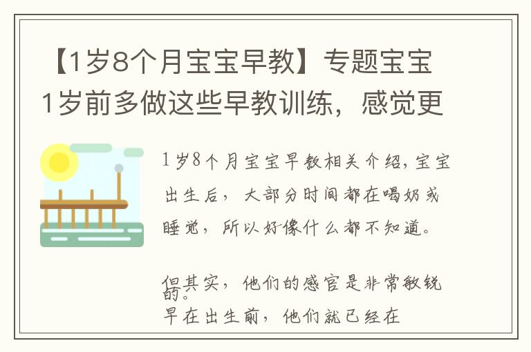 【1岁8个月宝宝早教】专题宝宝1岁前多做这些早教训练，感觉更敏锐，头脑更聪明