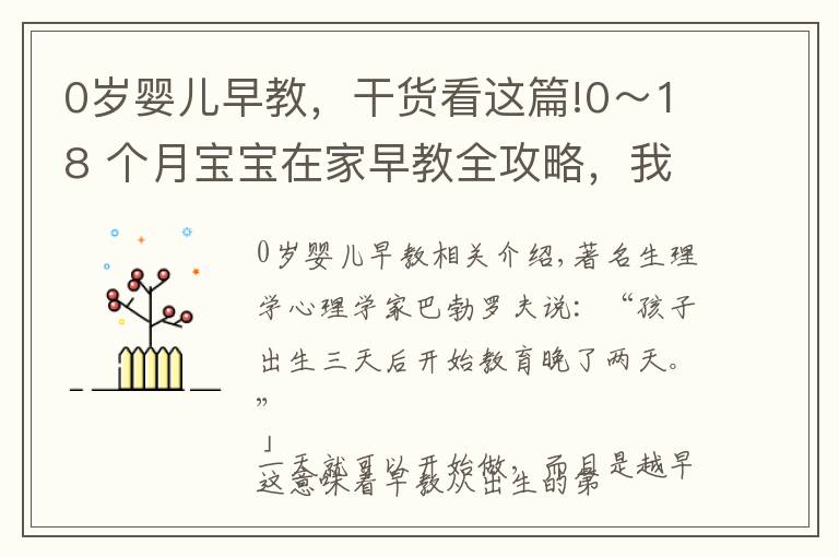 0岁婴儿早教，干货看这篇!0～18 个月宝宝在家早教全攻略，我们帮你整理好了