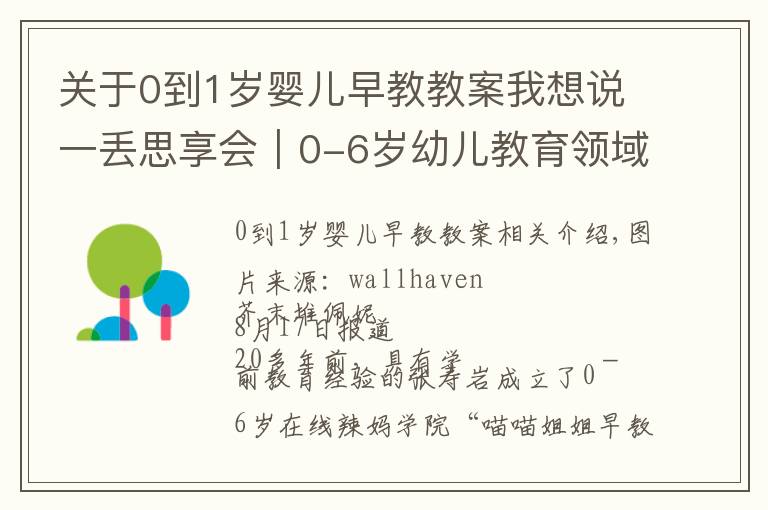 关于0到1岁婴儿早教教案我想说一丢思享会｜0-6岁幼儿教育领域潜在的十大创业机会