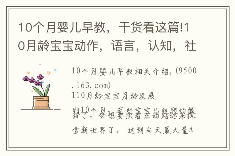 10个月婴儿早教，干货看这篇!10月龄宝宝动作，语言，认知，社会适应全面测评