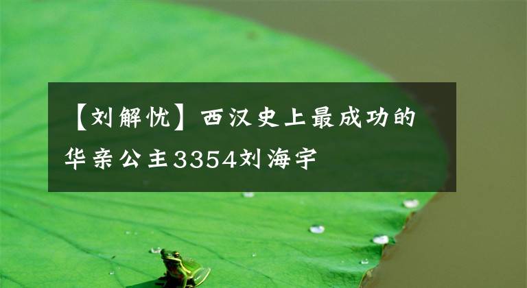 【刘解忧】西汉史上最成功的华亲公主3354刘海宇