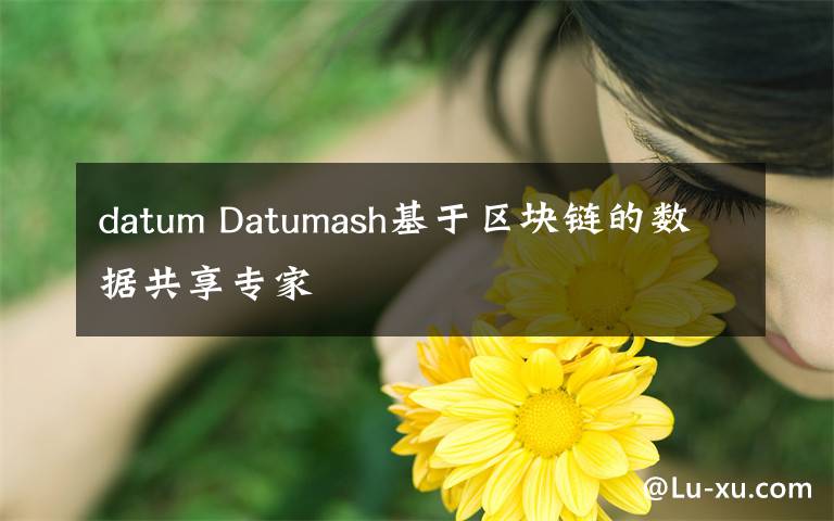 datum Datumash基于区块链的数据共享专家