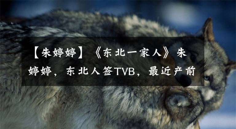 【朱婷婷】《东北一家人》朱婷婷，东北人签TVB，最近产前水电儿子是帅哥。