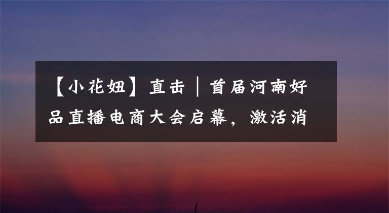 【小花妞】直击｜首届河南好品直播电商大会启幕，激活消费一池春水