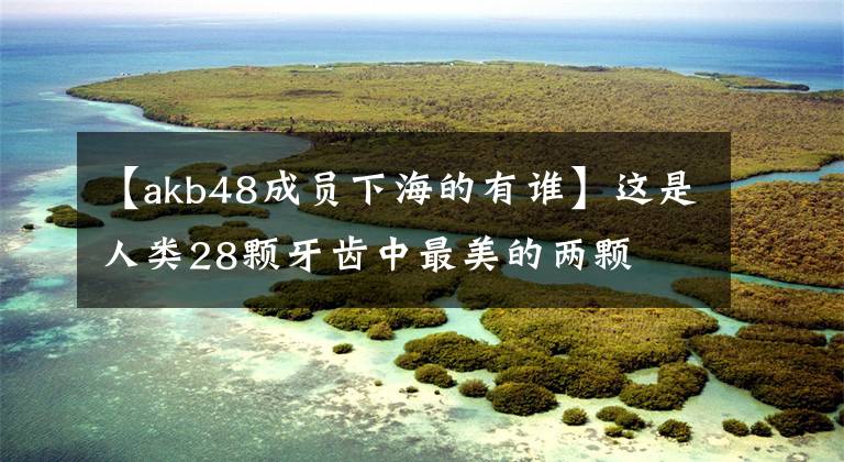 【akb48成员下海的有谁】这是人类28颗牙齿中最美的两颗