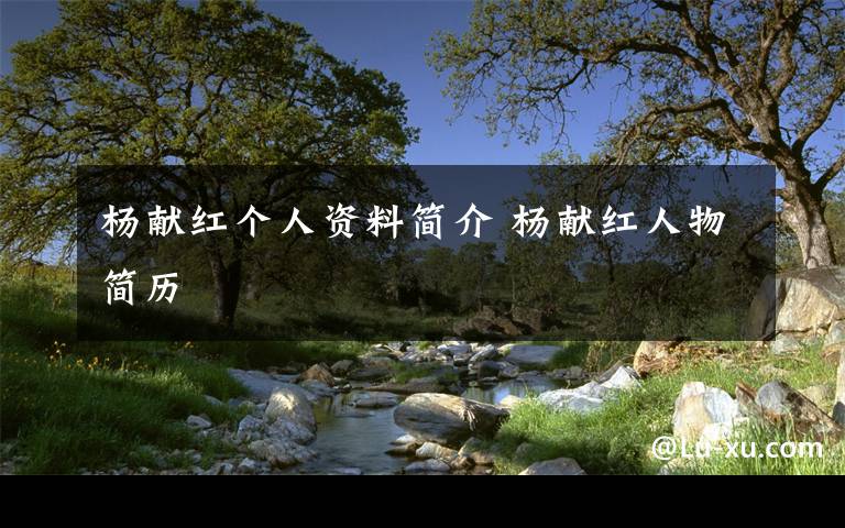 杨献红个人资料简介 杨献红人物简历文章配图