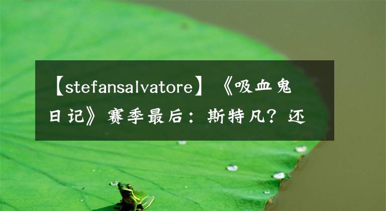 【stefansalvatore】《吸血鬼日记》赛季最后：斯特凡？还是达蒙？