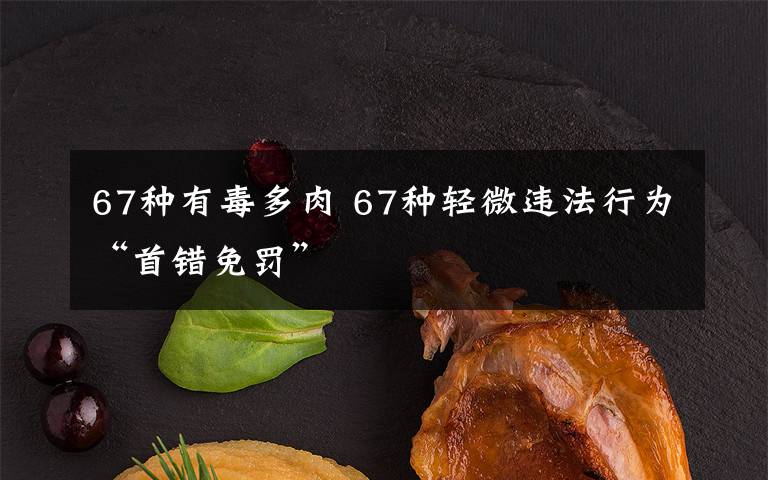 67种有毒多肉 67种轻微违法行为“首错免罚”