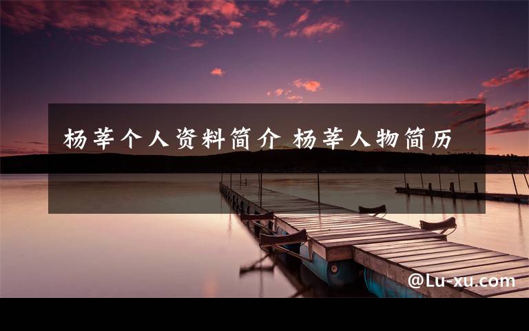 杨莘个人资料简介 杨莘人物简历文章配图