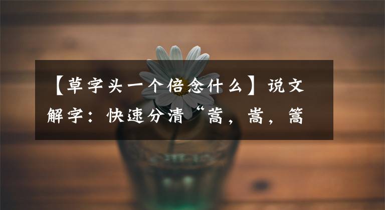 【草字头一个倍念什么】说文解字：快速分清“蒿，嵩，篙”，青蒿素并不是来自青蒿草