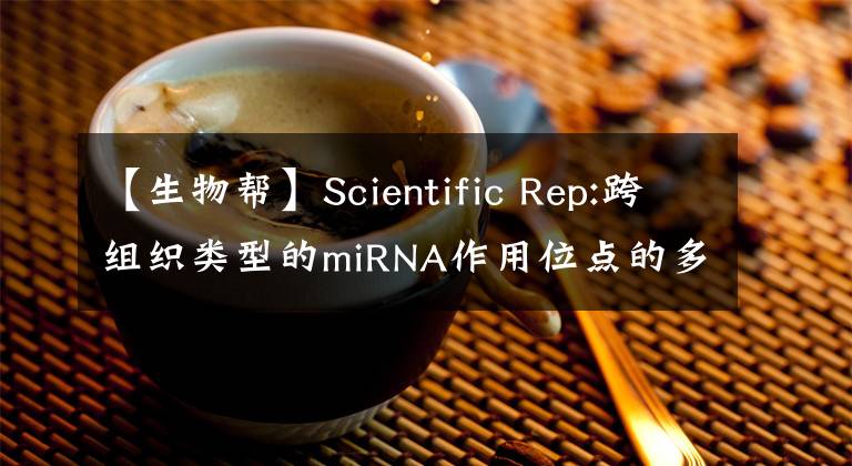 【生物帮】Scientific Rep:跨组织类型的miRNA作用位点的多样性