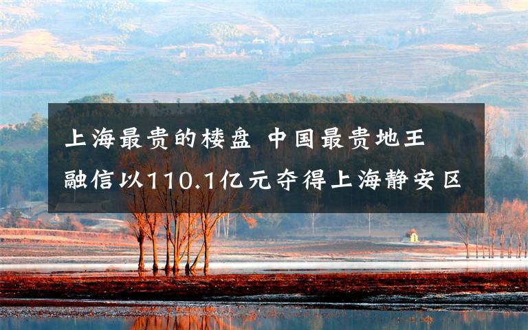 上海最贵的楼盘 中国最贵地王 融信以110.1亿元夺得上海静安区地块