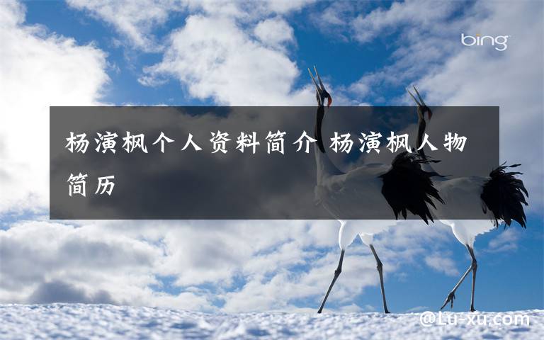 杨演枫个人资料简介 杨演枫人物简历文章配图
