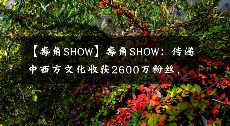 【毒角SHOW】毒角SHOW：传递中西方文化收获2600万粉丝，究竟背靠什么